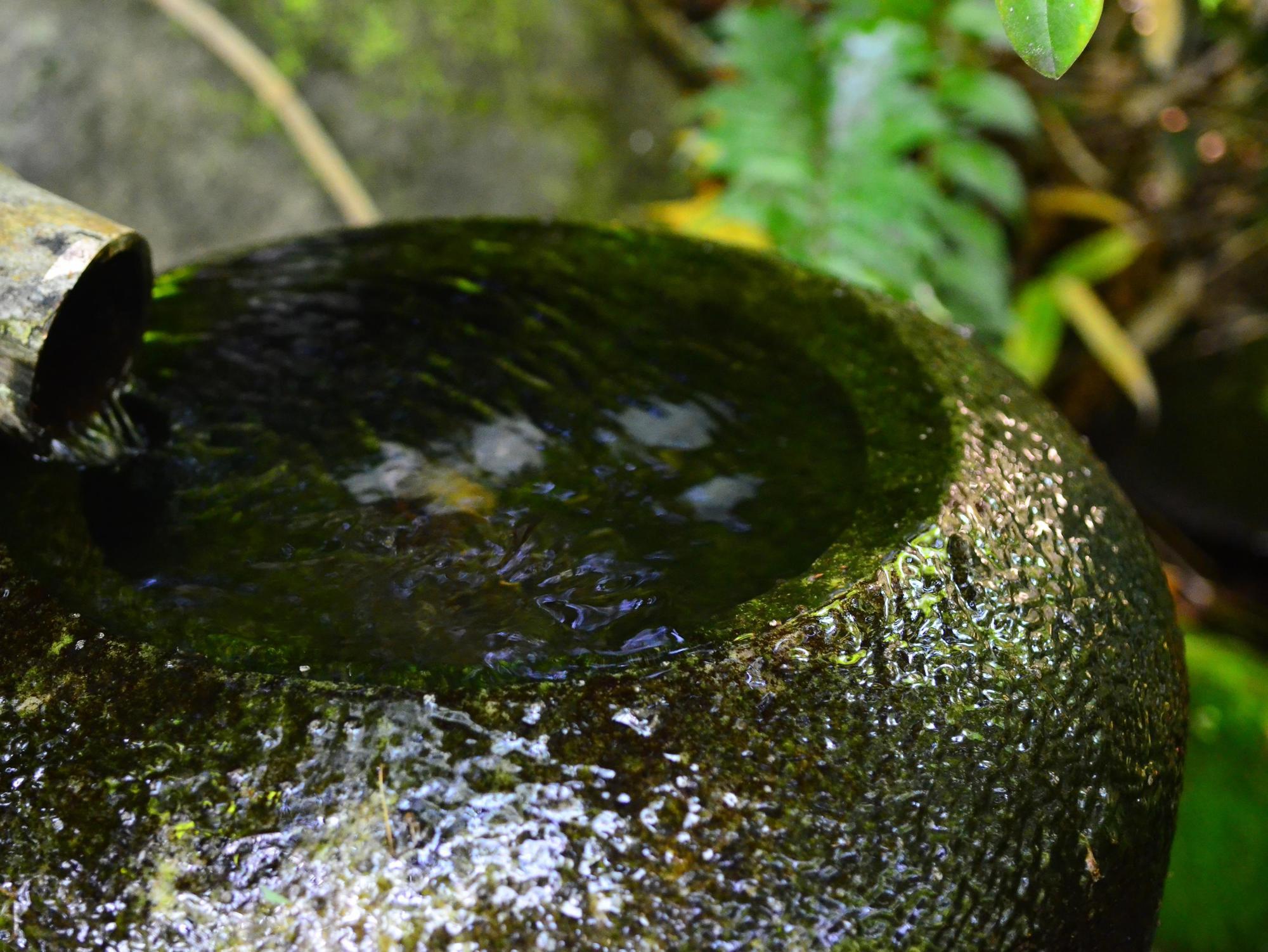 Yufuin Ryokan Nogiku Экстерьер фото